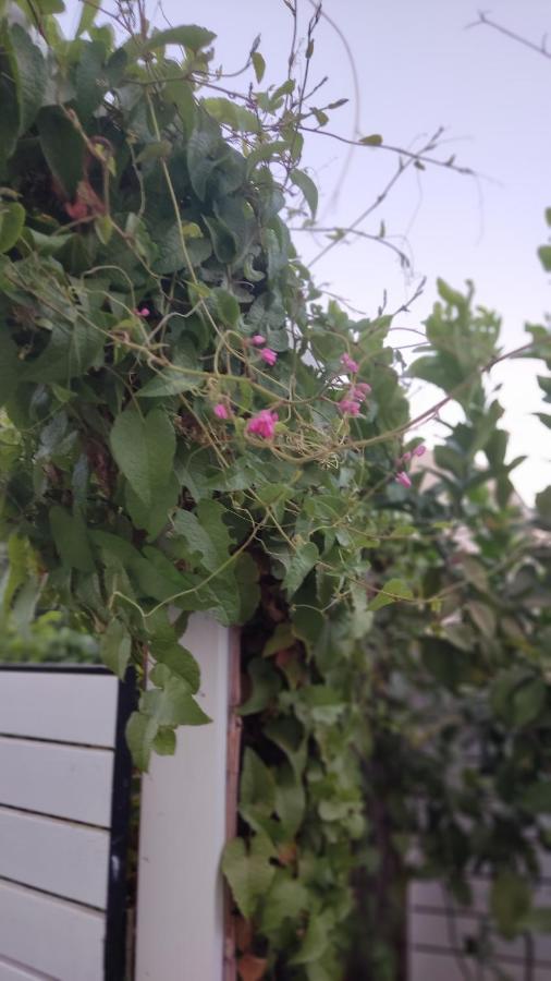 אילת Ester'S Place מראה חיצוני תמונה